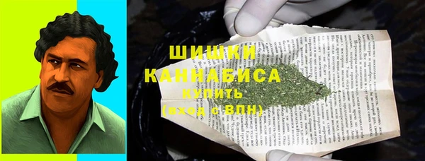 МДПВ Гусев