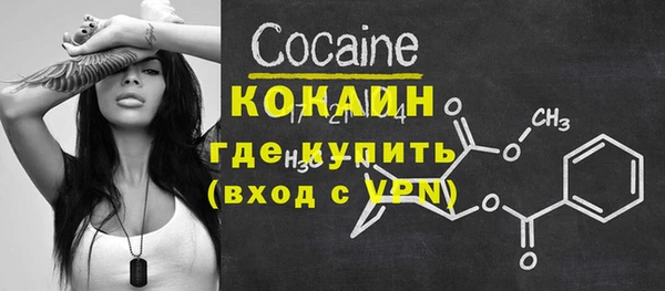 хмурый Гусь-Хрустальный