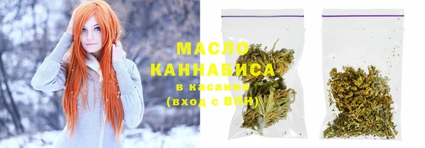хмурый Гусь-Хрустальный