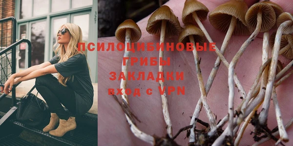 хмурый Гусь-Хрустальный
