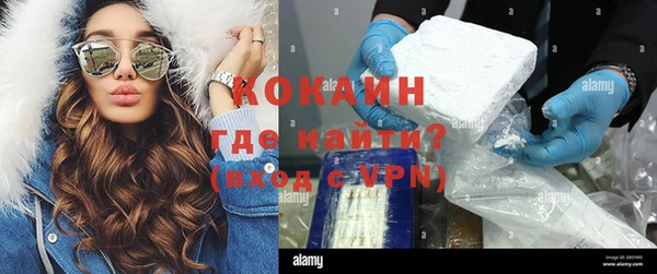 хмурый Гусь-Хрустальный