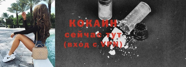 хмурый Гусь-Хрустальный