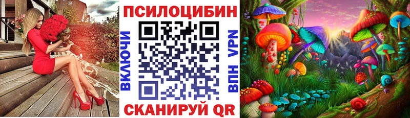 Галлюциногенные грибы Cubensis  купить  сайты  Жирновск 